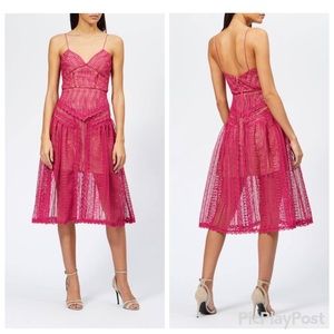 NWT Self-Portrait Pink Spiral Lace Panel Dress